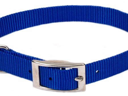 Coastal Single-Ply Nylon Collar Blue 3 8X10In Fashion