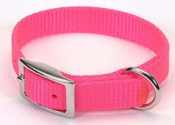 Coastal Single-Ply Nylon Collar Neon Pink 3 4X16In Hot on Sale