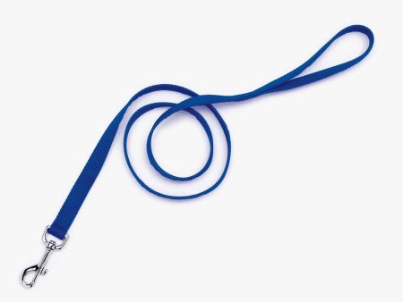 Coastal Single-Ply Nylon Dog Leash Blue 1ea 3 4 In X 4 ft Online Sale