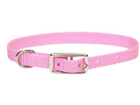 Coastal Single-Ply Nylon Collar Neon Pink 3 8X12In Hot on Sale