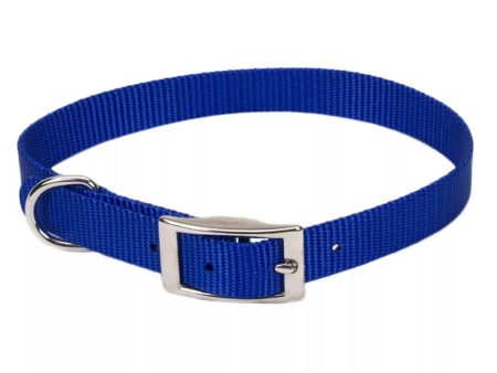 Coastal Single-Ply Nylon Collar Blue 1X22In Online now