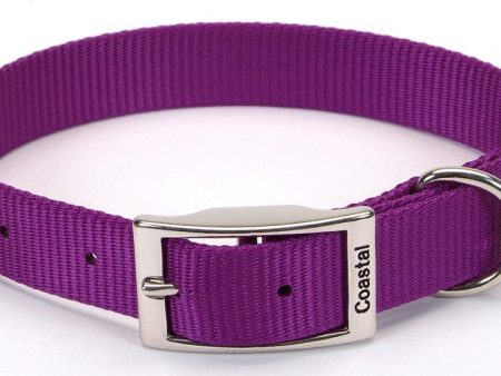 Coastal Single-Ply Nylon Collar Purple 1X18In Cheap