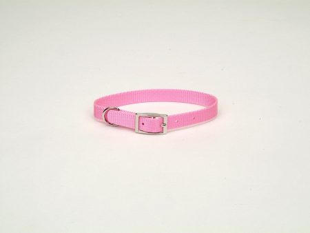 Coastal Single-Ply Nylon Collar Bright Pink 3 4X16In Fashion