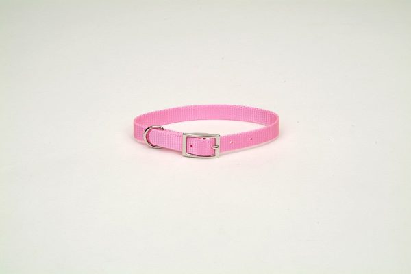 Coastal Single-Ply Nylon Collar Bright Pink 3 4X16In Fashion