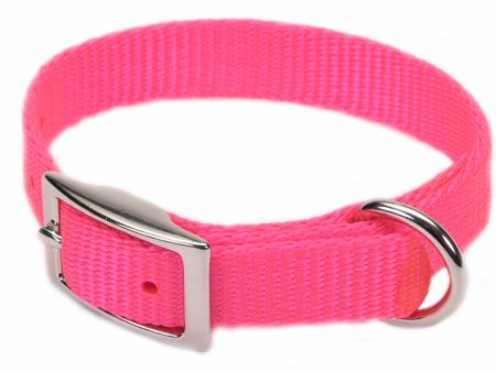 Coastal Single-Ply Nylon Collar Neon Pink 5 8X12In Sale