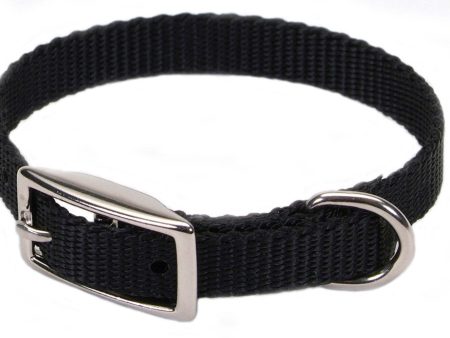 Coastal Single-Ply Nylon Collar Black 3 8X10In Fashion