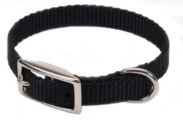 Coastal Single-Ply Nylon Collar Black 3 8X10In Fashion