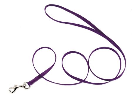 Coastal Single-Ply Nylon Dog Leash Purple 1ea 3 8 In X 4 ft Online now