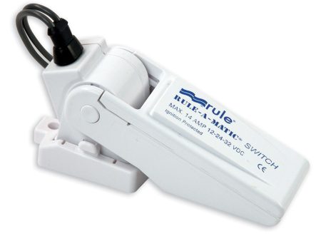 Rule-A-Matic Float Switch [35A] For Discount