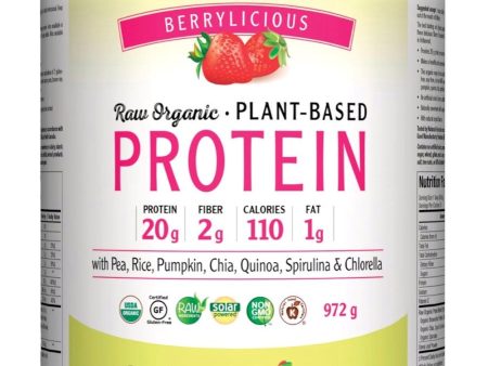 VEGIDAY Protein - Very Berry (972 g) Cheap