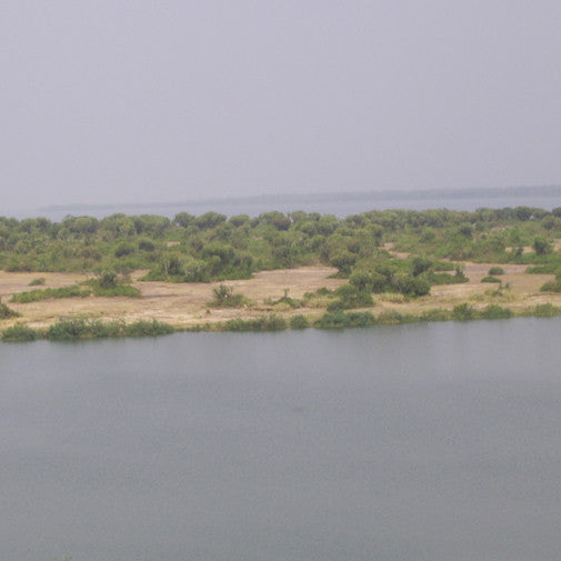 Kazinga Channel For Cheap